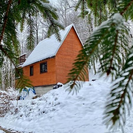 Chata Pod Pindulou Villa Rožnov pod Radhoštěm Dış mekan fotoğraf