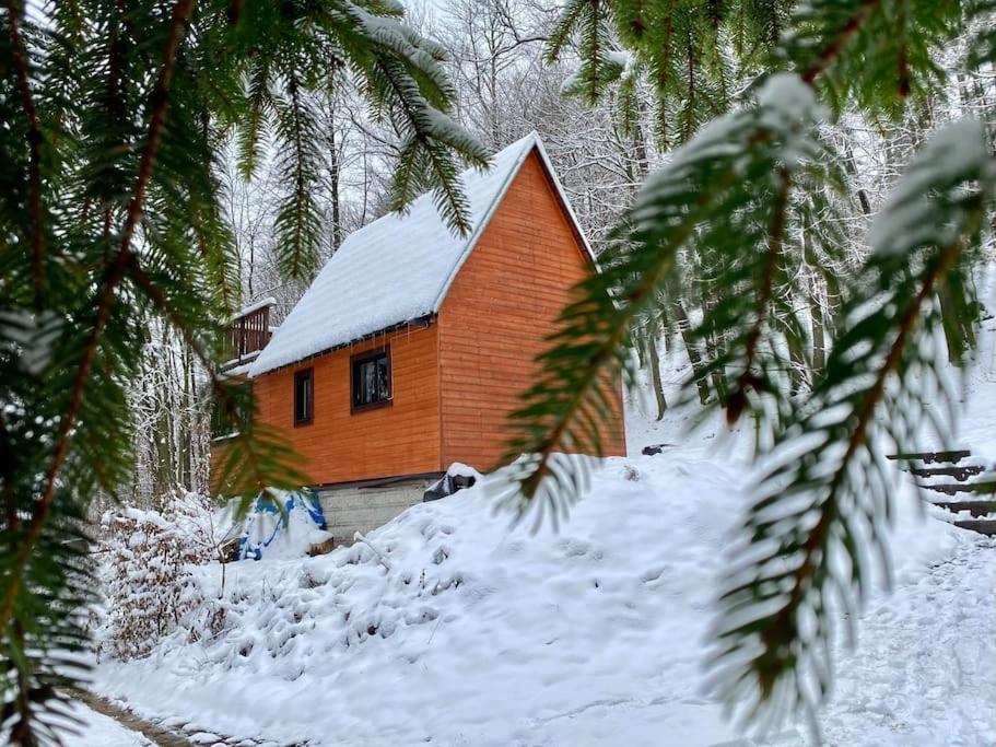 Chata Pod Pindulou Villa Rožnov pod Radhoštěm Dış mekan fotoğraf