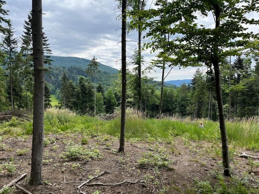 Chata Pod Pindulou Villa Rožnov pod Radhoštěm Dış mekan fotoğraf